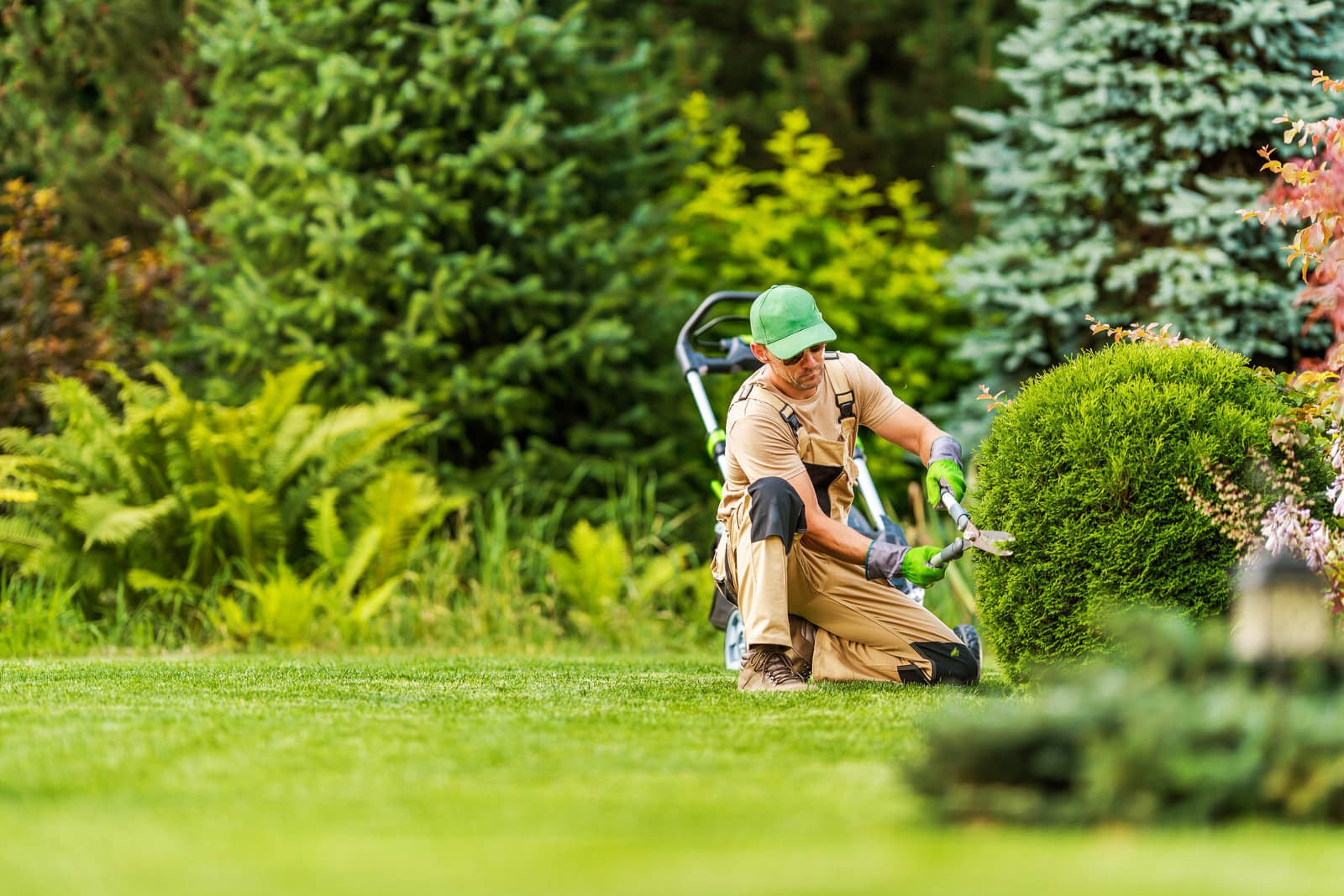 Blog landscape gardening professional shaping shrub 2023 11 27 05 33 50 utc
