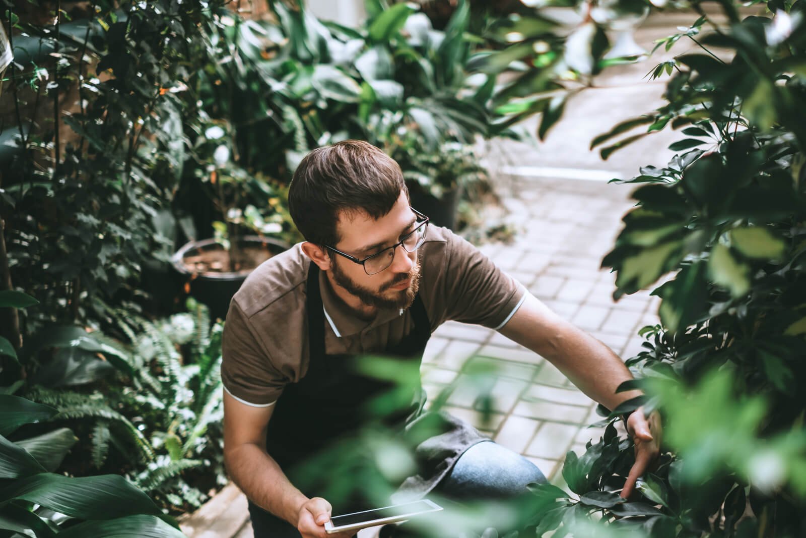 young man gardener in glasses and apron with digit 2024 12 05 13 14 45 utc (1)